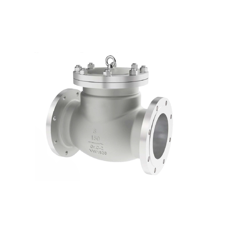 Titanium Swing Check Valve