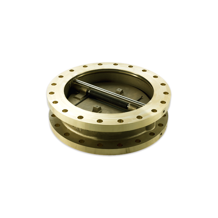 Special Alloy Check Valves