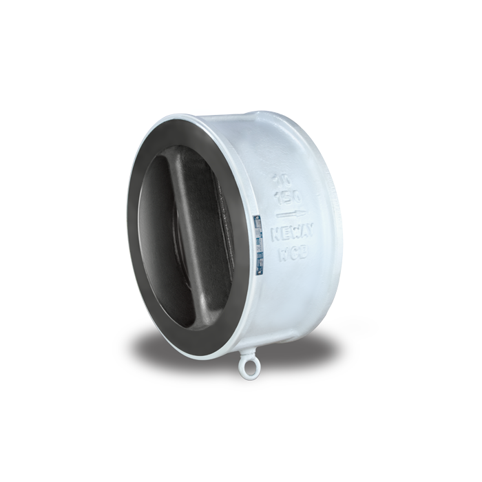 Dual Plate Check Valves