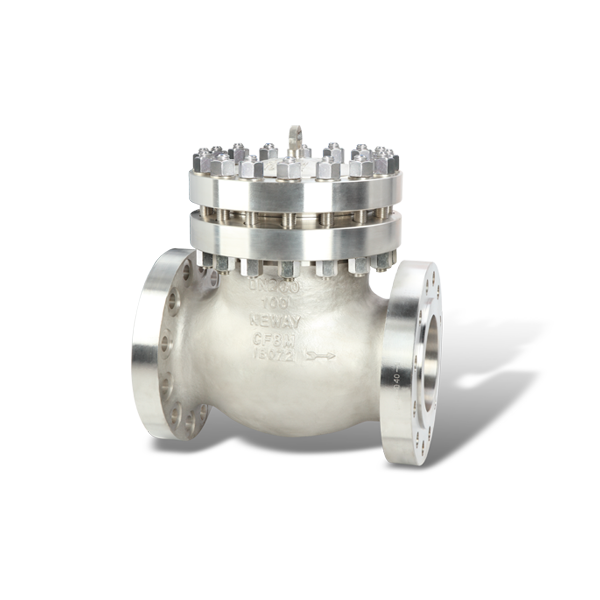 Stainless Steel Cryogenic Check Valves