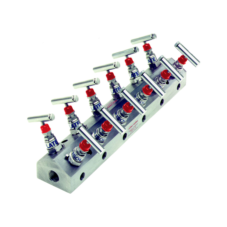 High Pressure Distribution Manifold (DM)