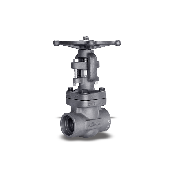 Forged Gate Valves