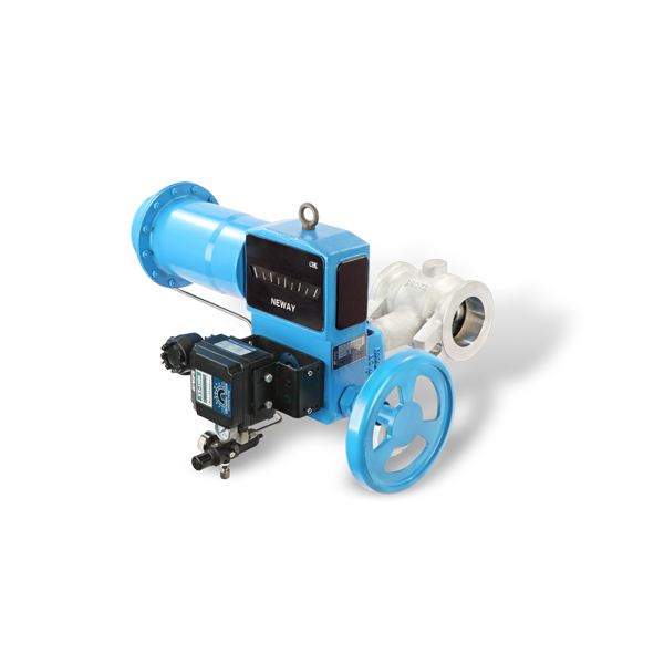 Eccentric Rotary Control Valve