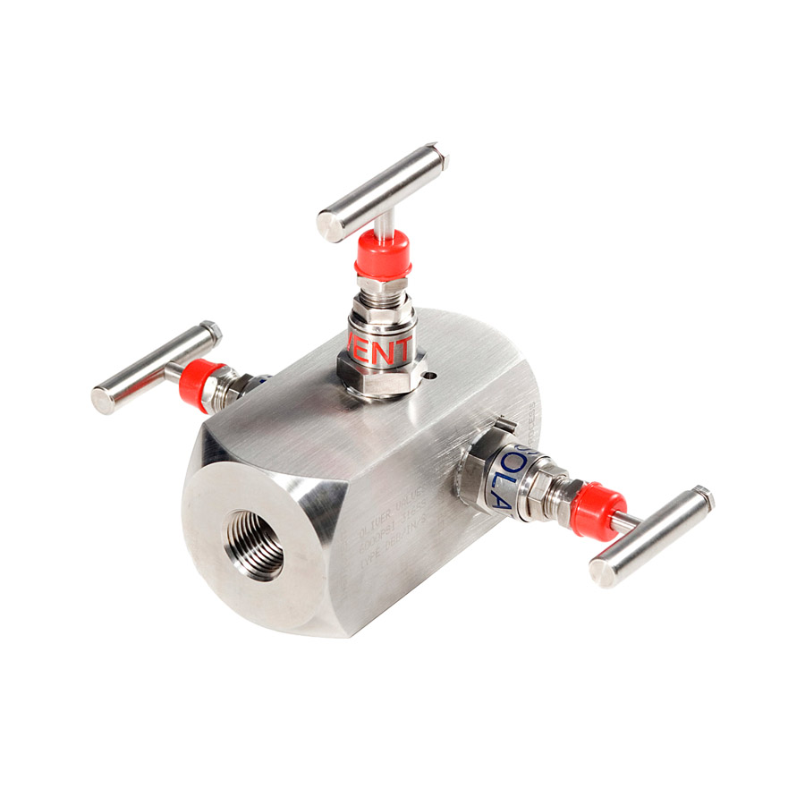 IN Type Instrument DBB Valve