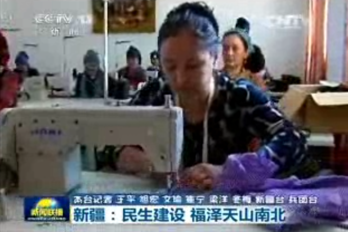 佳岛中央电视台报道