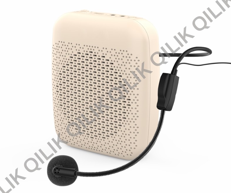 S317 Portable Voice Amplifier With Microphone