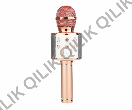WS858 Karaoke Microphone