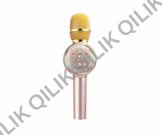 V29 Karaoke Microphone