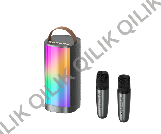 WS-K5 Karaoke speaker with wireless mics