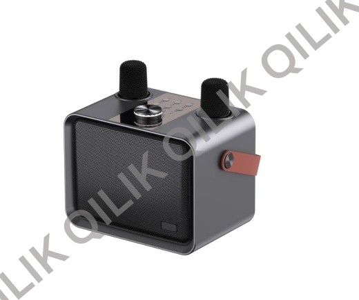 WS-QM1 Karaoke speaker with wireless mics