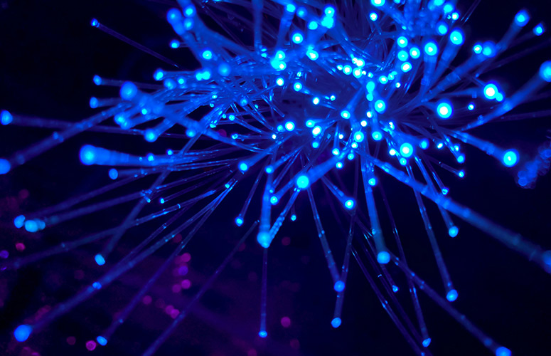 The Source of Lipstick