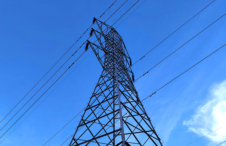 The culture is splendid, and there are many concubines in the palace, making the six palaces pink and beautiful, competing for beauty and beauty