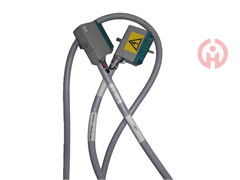 Triconex 4000094-110 TERM，OUTPUT CABLE ASSEY