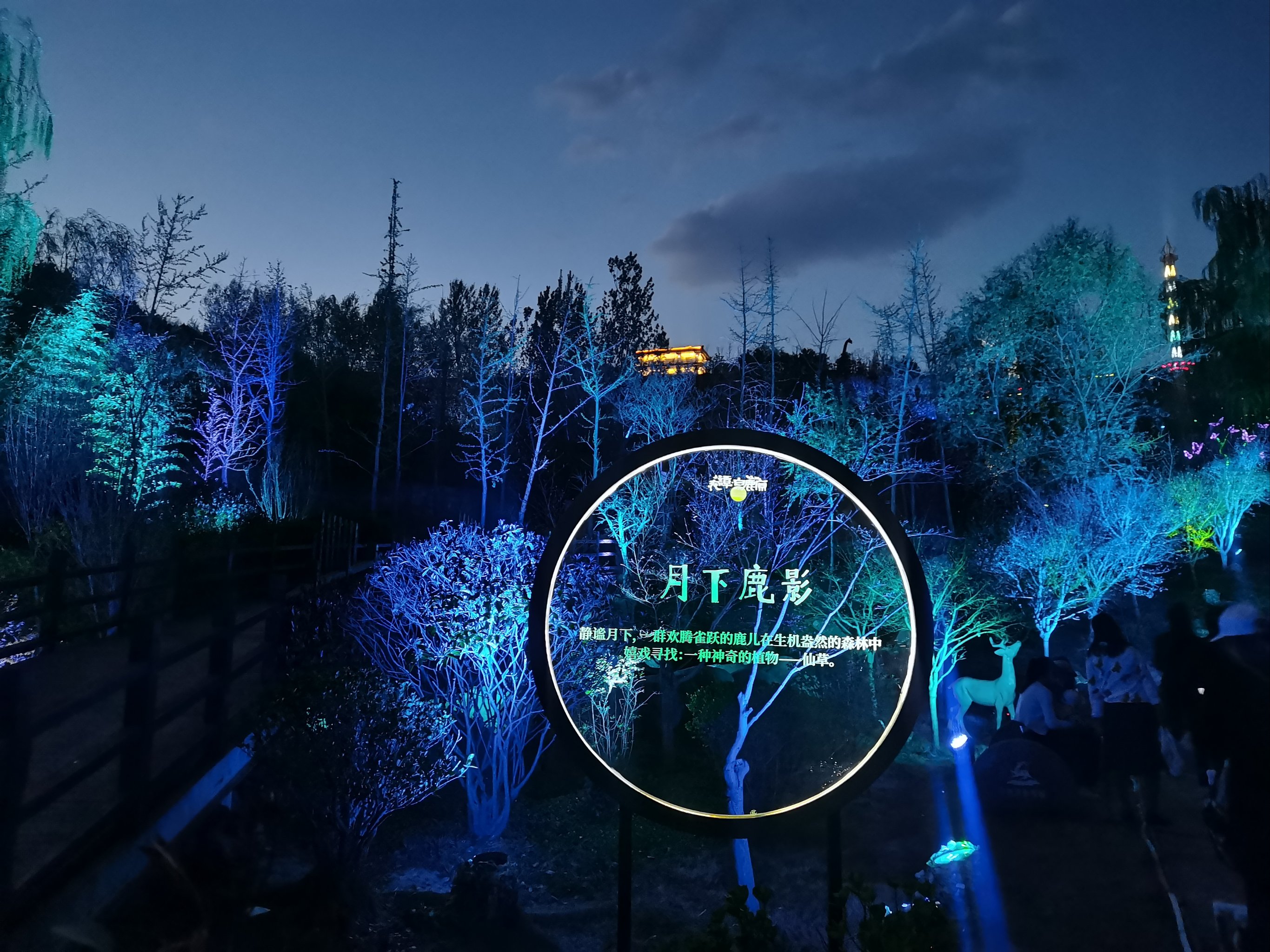 基于场景丛林文旅夜游解决方案