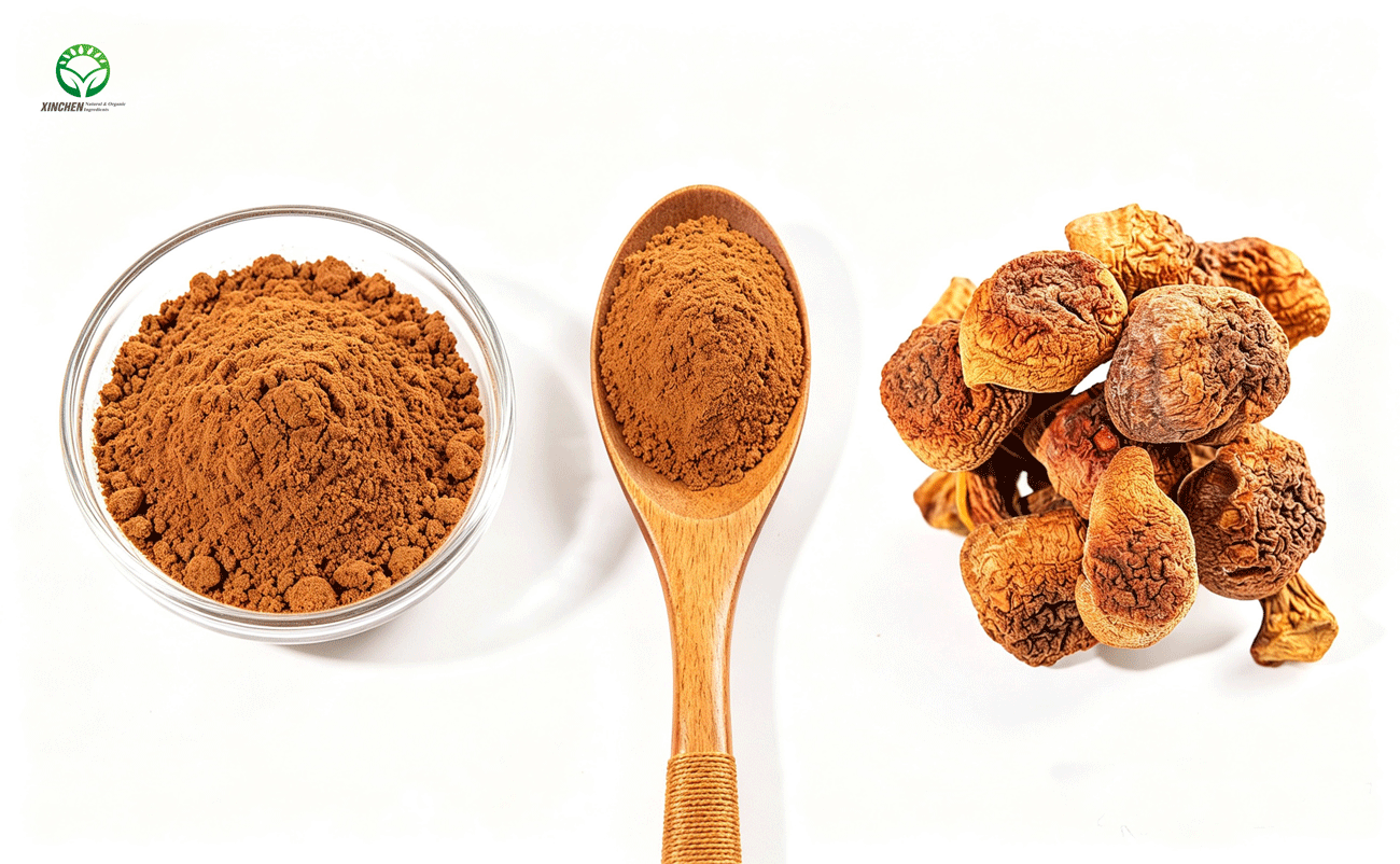 Organic Agaricus Blazei Extract/Powder