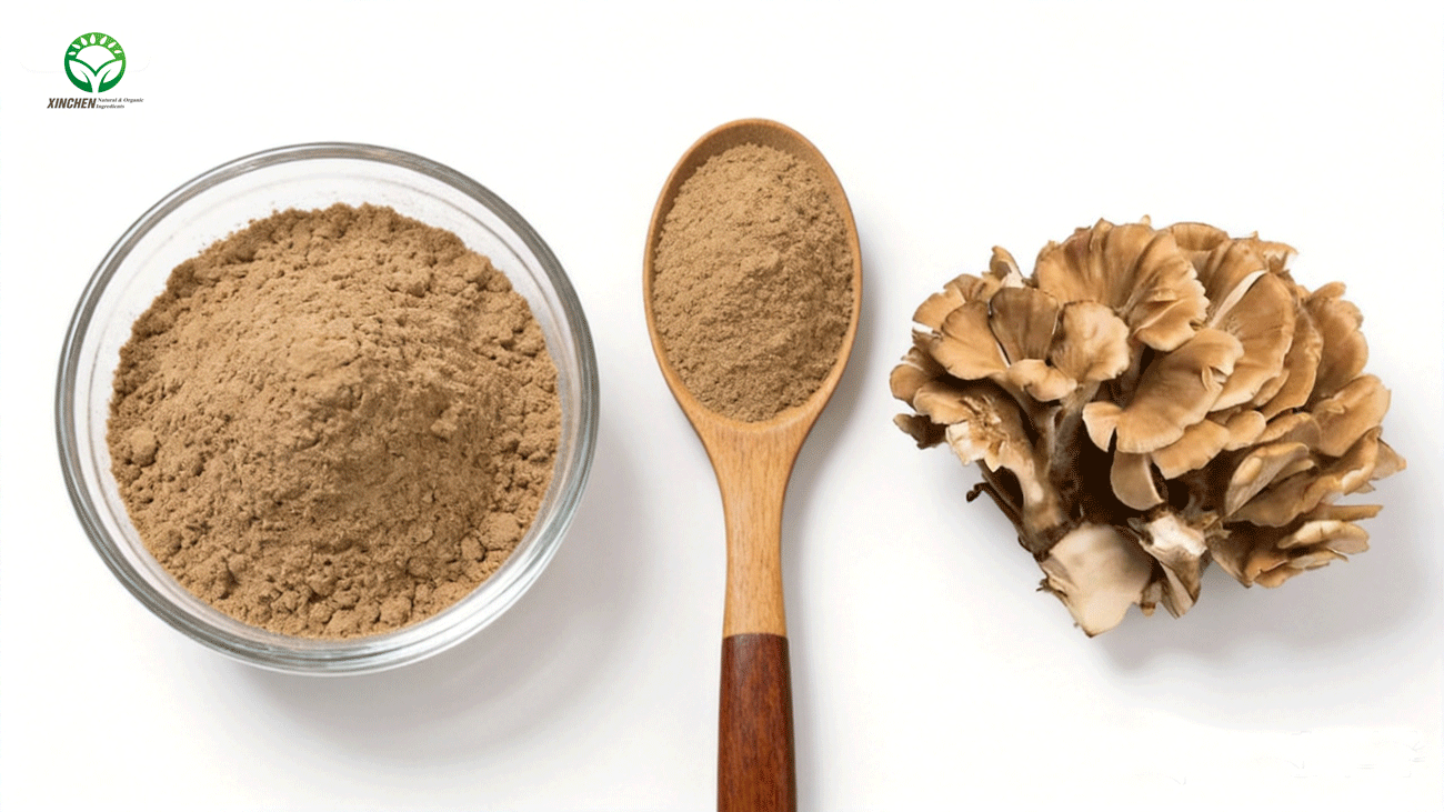 Organic Maitake Mushroom Extract Powder