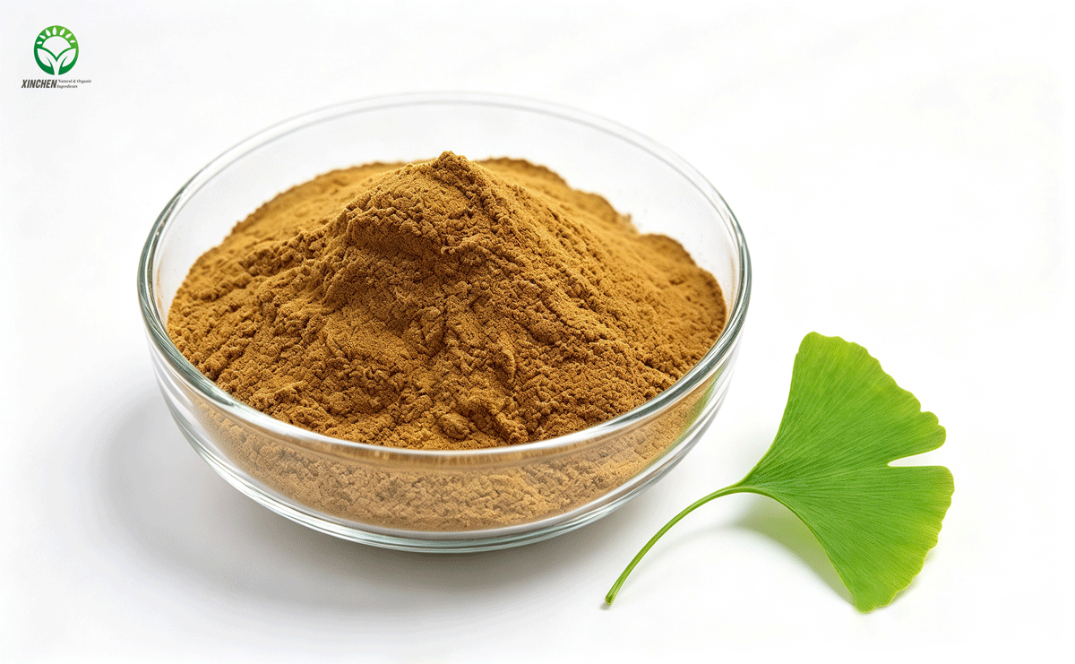 Ginkgo Biloba Extract Powder