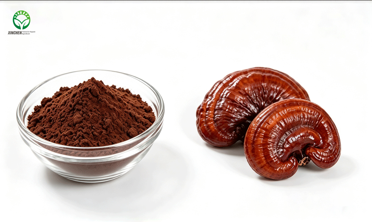 Organic Reishi Mushroom Extract/ Powder