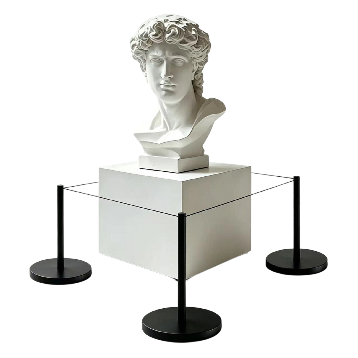 Art gallery railing seats, museum railing seats, exhibit item railing seats, rope-operated railing seats