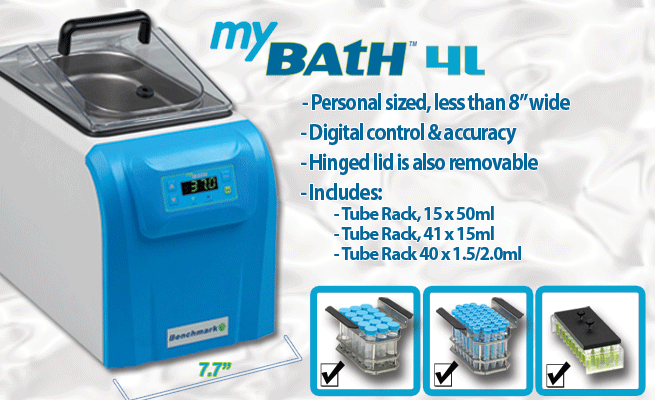 B2000系列  MyBath 恒温数字水浴 (2L\\4L\\8L\\12L
