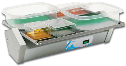BR1000-E  BenchBlotter 定速摇床 ( 2D )
