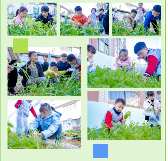 71165866d3bcd23c9cfa97903806c1f6.png
