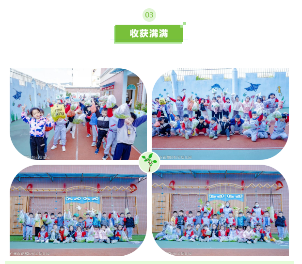 a0a9ba6dd2f5c53c9b4a20c42afe6a44.png