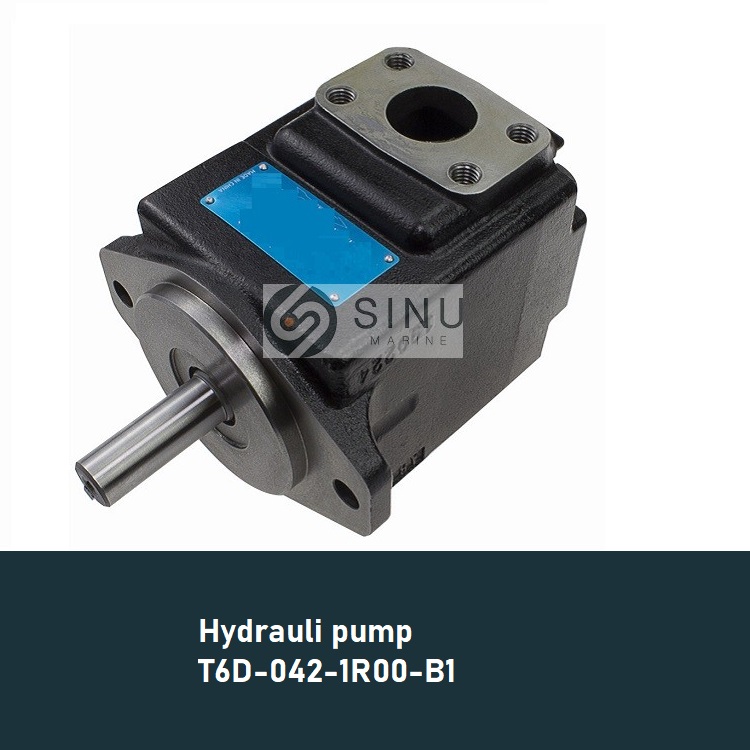 T6D0421R00B1 hydraulic pump vane pump